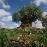 tree-of-life