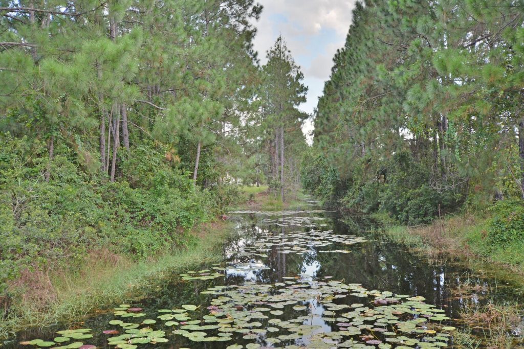 Watersong Resort conervation area